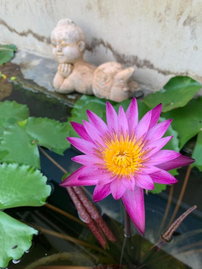 Nong Kung Yai The Orchid House酒店 外观 照片
